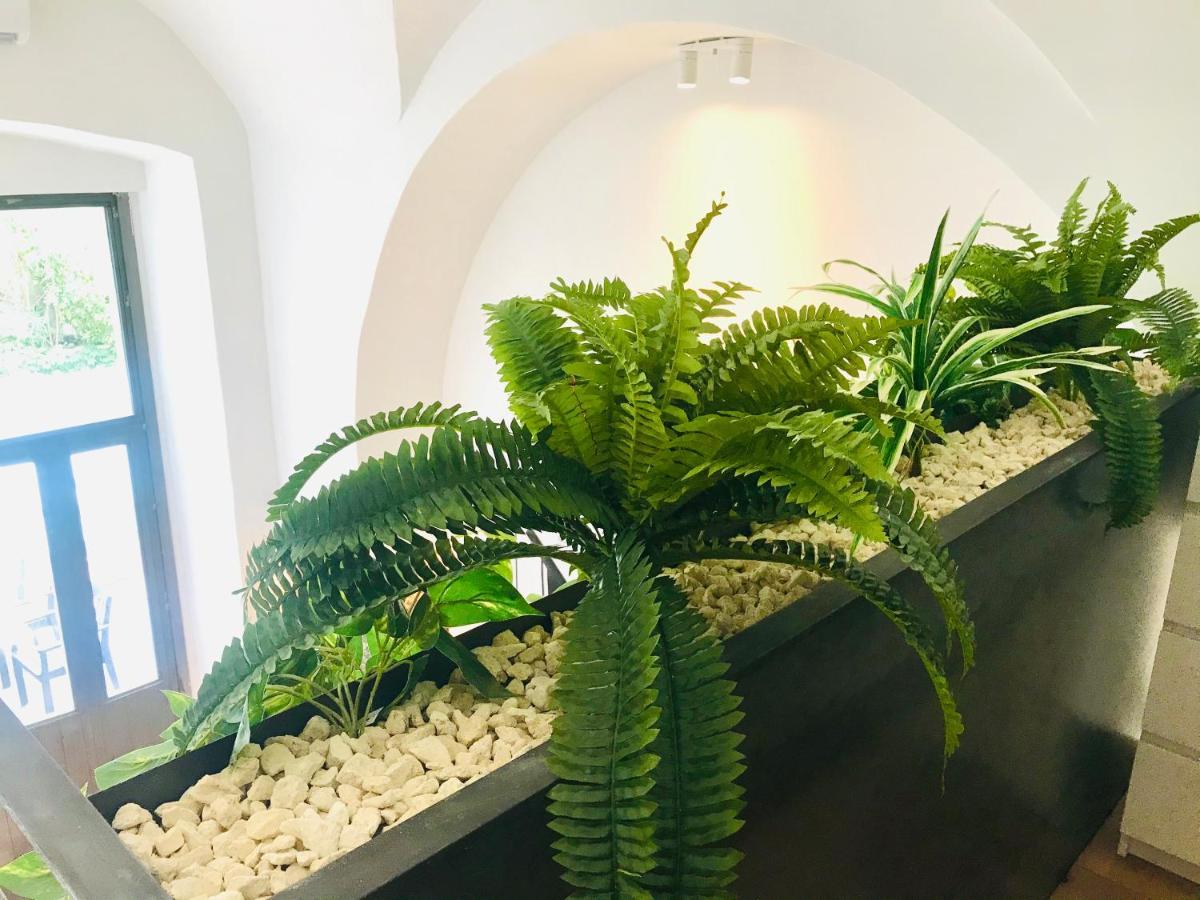 Вилла Oli'S Charming House Катания Экстерьер фото